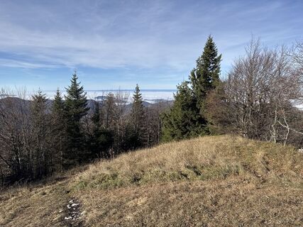 Photo de Willibald BRIZA le long du parcours