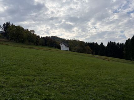 Photo de Martin Sicher le long du parcours