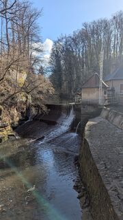 Foto von hochlandfamilie entlang der Tour