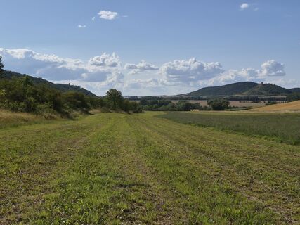 Fotografija s spletne strani Wollomator na poti