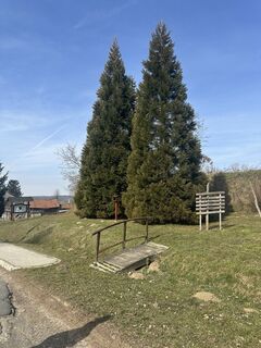 Photo de szabojano le long du parcours