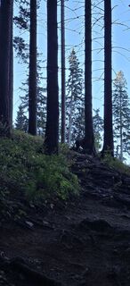 Fotó a Siegfried Sauseng honlapról a túra során