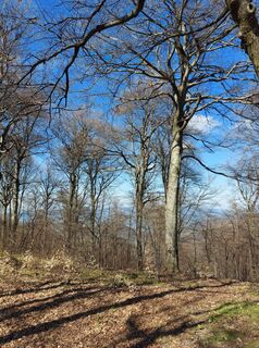 Photo de Zoltán Kovács 5 le long du parcours