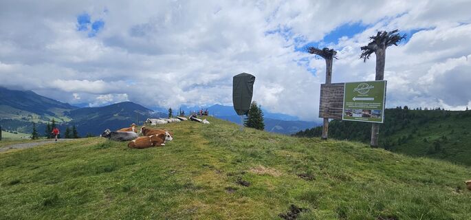 Fotografie z Michael Ganswind na trase