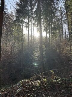 Foto von Katrin Rupprecht entlang der Tour