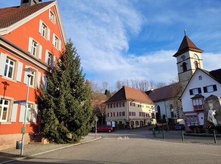 Foto von Gustav Kulisch entlang der Tour