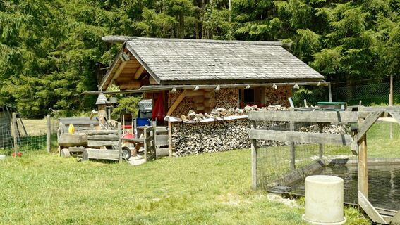 Fotografie z István Gábor 1 na trase
