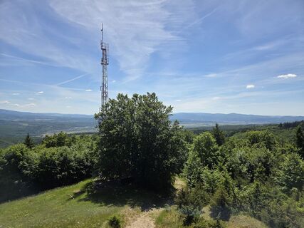 Fotografie z Zolo na trase