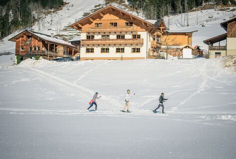 Ferienwohnungen Schwabhof