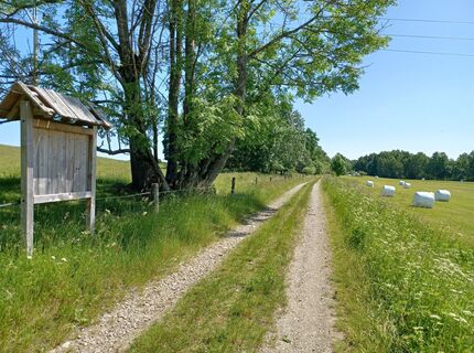 Fotografie z Radka Kahovcová na trase