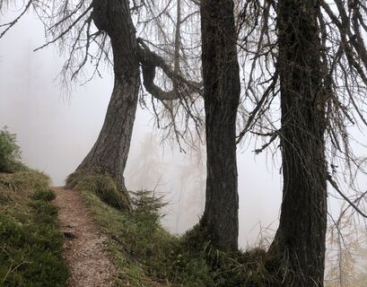 Fotografija s spletne strani “Jerry” Brunetti na poti
