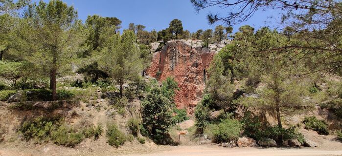 Fotografija s spletne strani Hein Sleddens na poti