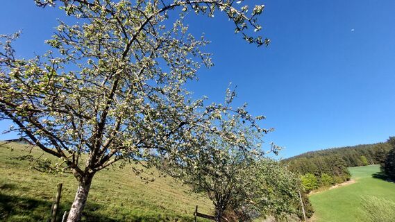 Foto von velisabeth entlang der Tour