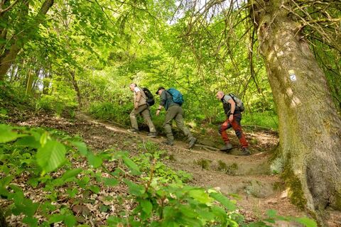 Wittgensteiner Schieferpfad