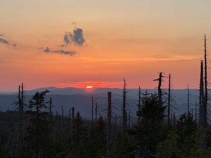 Fotografija s spletne strani Natur_erleben_dg na poti
