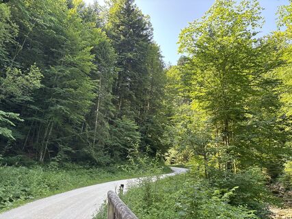 Fotografia z Heinz Sperl na trase