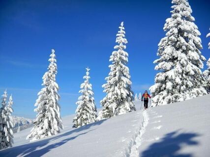 Schneehschuhwanderung Fischbach_Oststeiermark