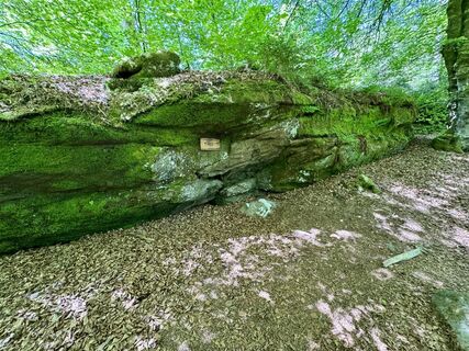 Photo de Christian H. le long du parcours
