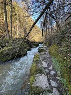 Fotografija s spletne strani Babs Holz na poti