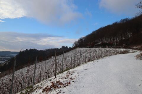 Zdjęcie z Günter Kleutsch wzdłuż trasy