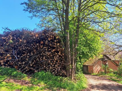 Zdjęcie z Bellou wzdłuż trasy