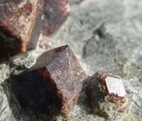 Granate auf der Millstätter Alpe