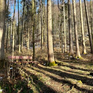 Steinköpfl-Trail - Molln