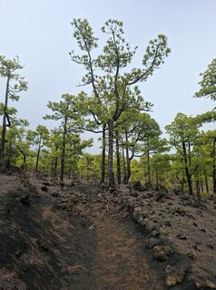 Foto von uhu321 entlang der Tour