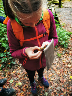 Höchste Konzentration