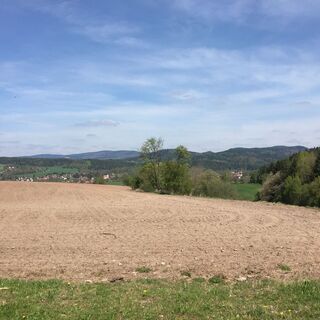 Blick nach Hinternah mit Rennsteig/Biosphärenreservat