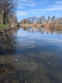 Foto de Speedy Gonzales a lo largo del recorrido