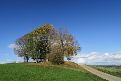 H chenschwand 1