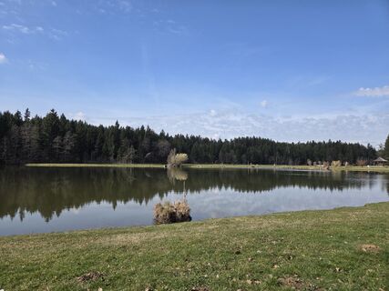 Foto von Birgit Zückert entlang der Tour