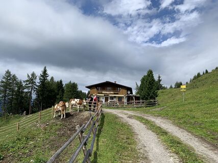 Fotó a Koen De Wit honlapról a túra során