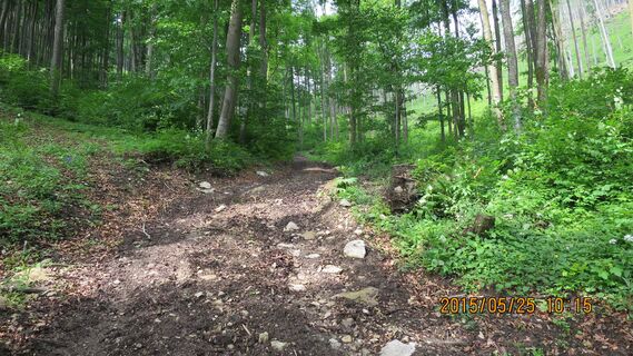 Aufstieg um den Gemeindeberg herum