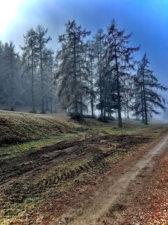Zdjęcie z Kellner Heidi wzdłuż trasy