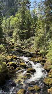 Zdjęcie z Astrid K. wzdłuż trasy