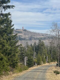 Photo de Ronald Bartel le long du parcours