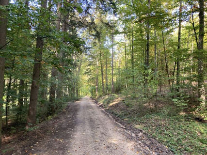 Essingen Waldwanderweg