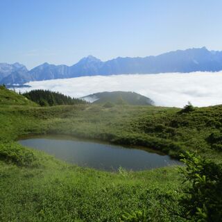 Viehhofener Lacken