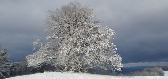 Foto von Michael Wurster entlang der Tour