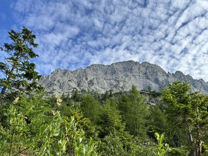 Foto de Mario Tauber a lo largo del recorrido