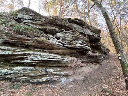Fotografija s spletne strani Roland Steinfadt na poti
