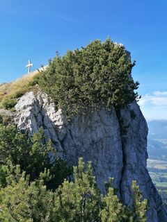 Foto von Dagmar Hofer entlang der Tour