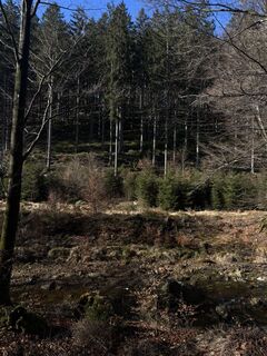 Photo de Gabrielle De Brabanter le long du parcours