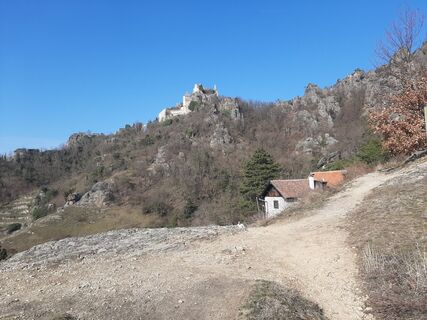 Photo de Lenzling Kaufmann le long du parcours