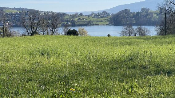 Fotografia z Peter Burki na trase