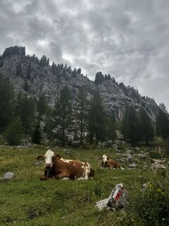 Foto de Nicogianno a lo largo del recorrido