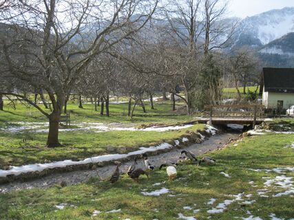 Zur Schoberalm