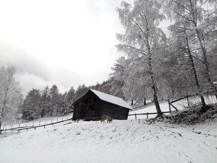 Photo de Karin Preghenella le long du parcours